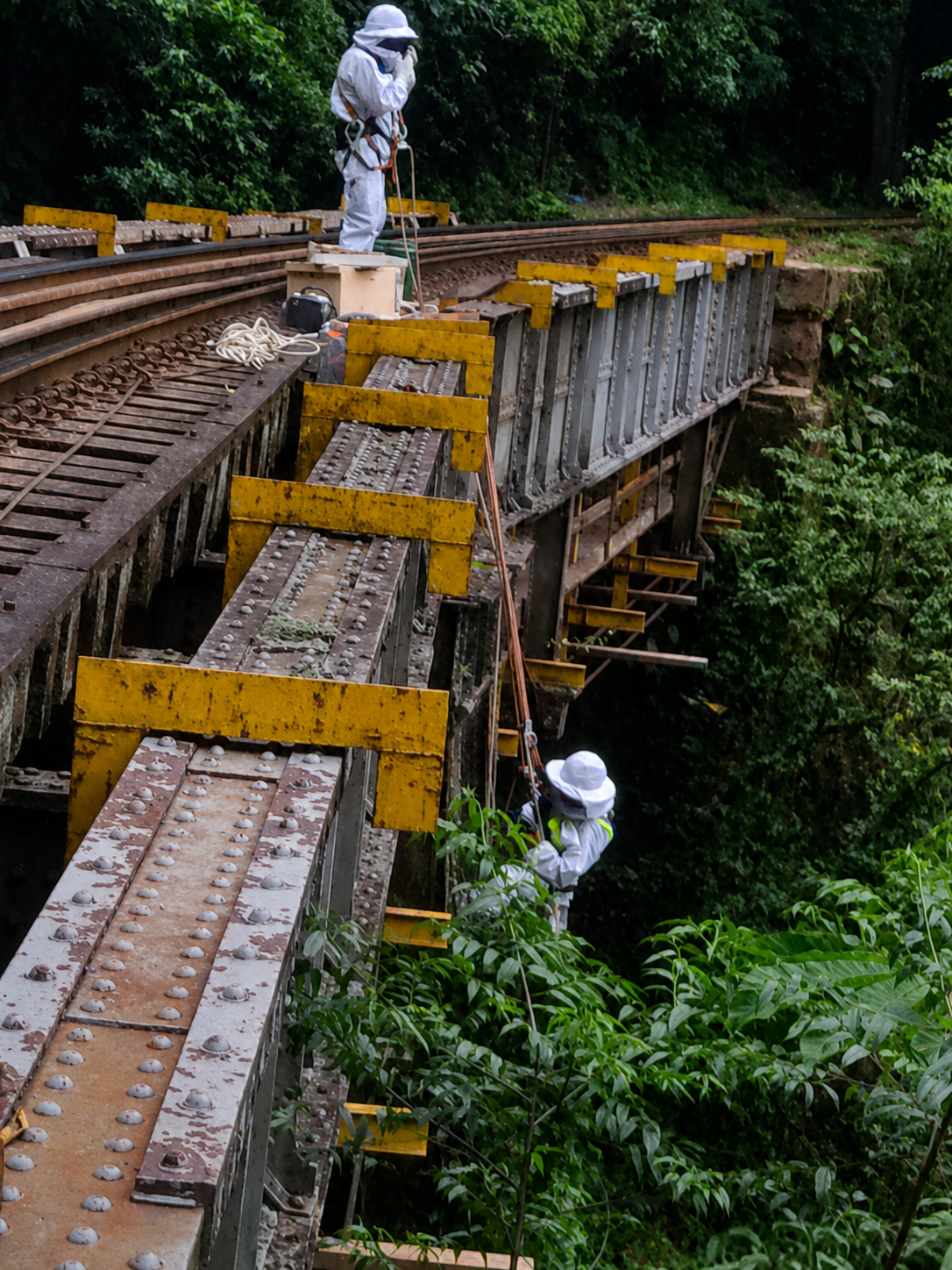 Equipe especializada retirando enxame de abelhas em estrutura industrial